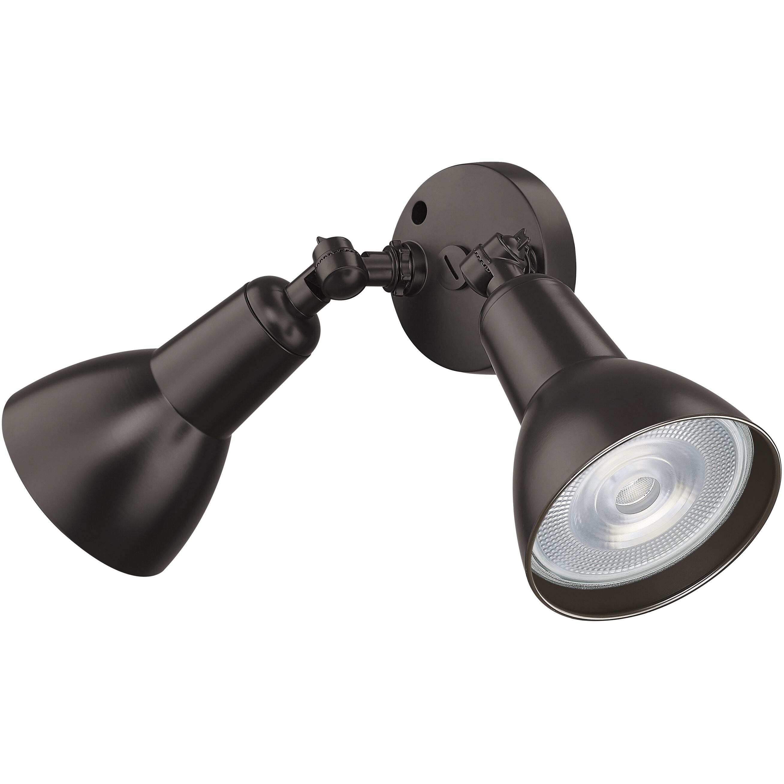 None 2 Light 16 inch Powder Coated Bronze Outdoor Security Flood Light